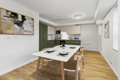 Stanza privata in residence in 30 Staniforth St, Birmingham B4 7DR, United Kingdom       , immagine 14 di 17