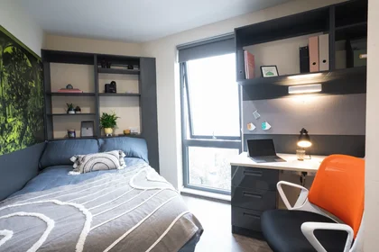 Habitación privada en Oxford St, Newcastle upon Tyne NE1 8AA, United Kingdom, imagen 1 de 10