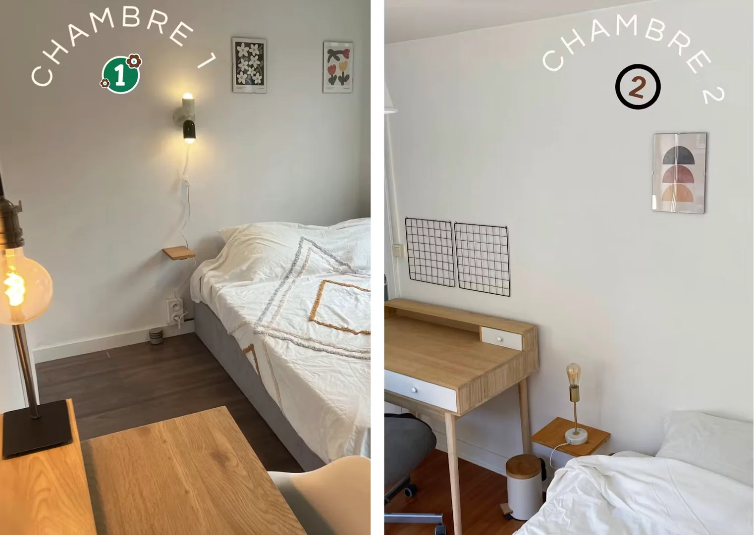 Camera accogliente per studenti disponibile a 