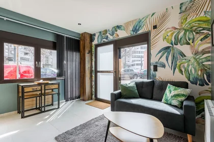 Appartamento intero in Rue Georges Méliès, Tonkin Nord, immagine 1 di 10