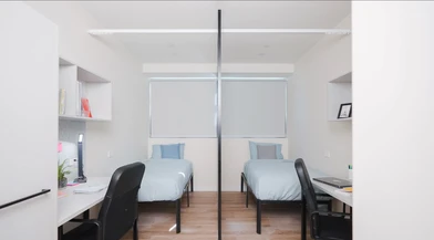 Chambre à louer avec lit double Canberra-queanbeyan