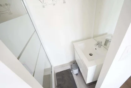 Chambre privée à 250 Rue Jeanne d'Arc, 54000 Nancy, France, image 5 de 15
