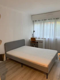 Habitación privada en Noisy-le-grand, 93160, imagen 13 de 17