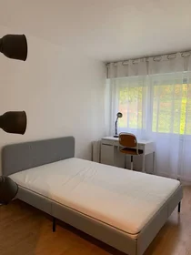 Habitación privada en Noisy-le-grand, 93160, imagen 14 de 17
