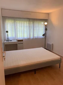 Habitación privada en Noisy-le-grand, 93160, imagen 9 de 17
