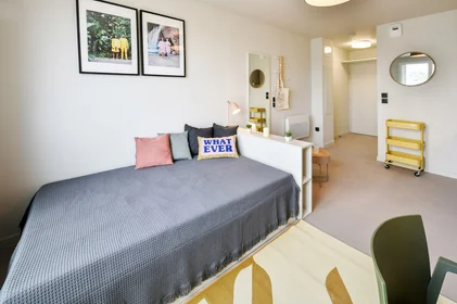 Habitación privada en residencia en Toulouse, 31100, imagen 13 de 15