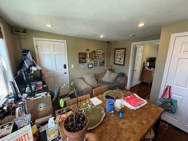 Studio in residence at 735, Somerville Ave., Unit 1, Spring Hill, Somerville, MA, 02143, image 4 of 16