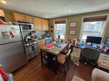 Studio in residence at 735, Somerville Ave., Unit 1, Spring Hill, Somerville, MA, 02143, image 6 of 16