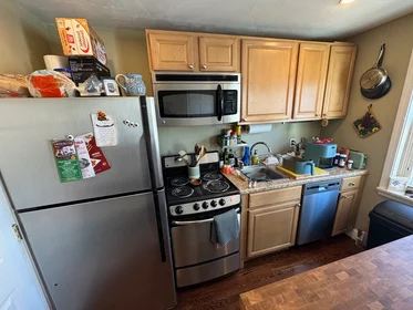 Studio in residence at 735, Somerville Ave., Unit 1, Spring Hill, Somerville, MA, 02143, image 7 of 16