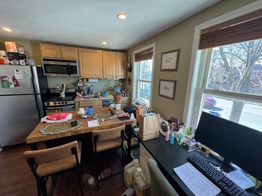 Studio in residence at 735, Somerville Ave., Unit 1, Spring Hill, Somerville, MA, 02143, image 8 of 16
