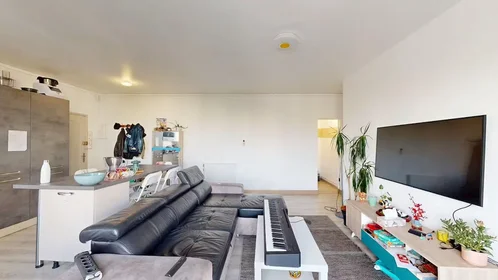 Chambre privée à Avenue du Général de Gaulle, Sanitas Rotonde, image 7 de 10