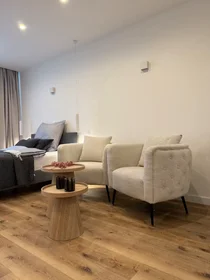 Entire fully furnished flat in {area}
