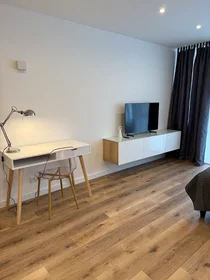 Entire apartment at Mittlerer Hasenpfad, Sachsenhausen, image 2 of 10