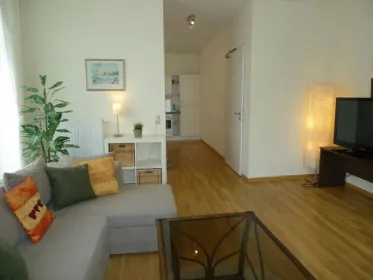 Entire fully furnished flat in Dresden