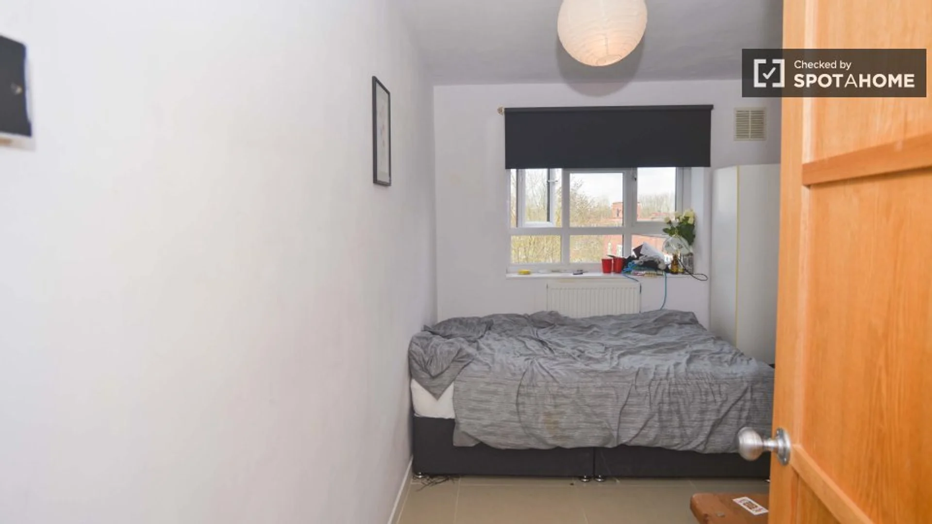Chambre abordable pour les étudiants avec un bon éclairage dans 