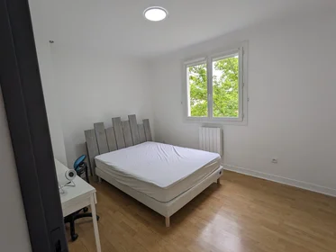 Stanza privata in Rue Antoine Laumet, immagine 8 di 12