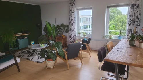 Private room at Tomas Masarykstraat, image 1 of 10