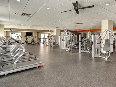 Entire apartment in residence at 505 SW 2nd Ave, Gainesville, FL 32601, USA , image 15 of 20