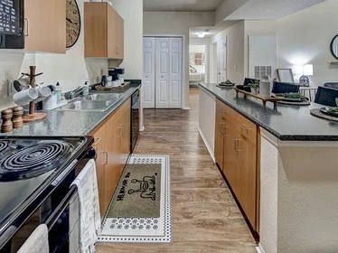 Entire apartment in residence at 505 SW 2nd Ave, Gainesville, FL 32601, USA , image 5 of 20