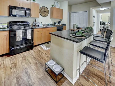 Entire apartment in residence at 505 SW 2nd Ave, Gainesville, FL 32601, USA , image 6 of 20
