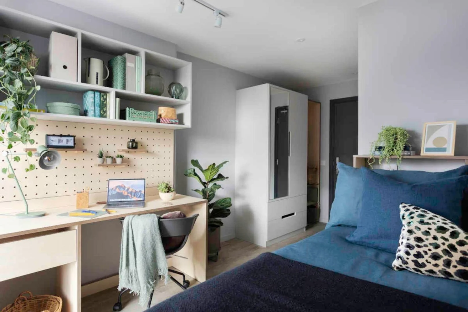 Room for rent in student apartment in , fully furnished