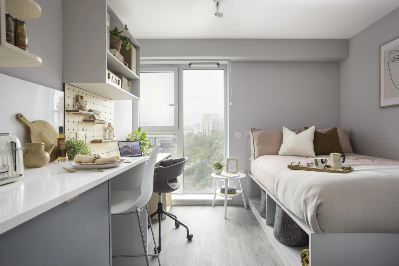 Affordable room for students with ample lighting in 