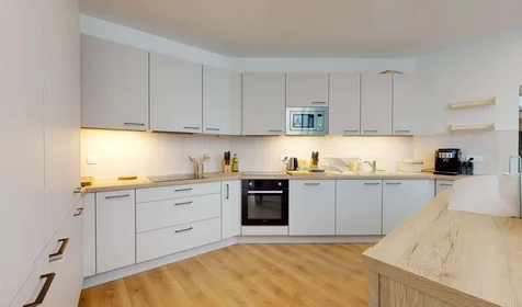 Özel oda konumu 12 rue Mot, Fontenay - sous - Bois Fontenay-sous-Bois 94120 FR, 13 22 görüntüsü