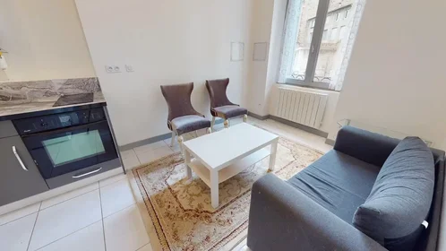 Alojamiento entero en Rue du Grand-Gonnet, Jacquard-Préfecture, imagen 10 de 10