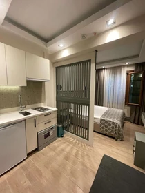 Great studio apartment in Istanbul