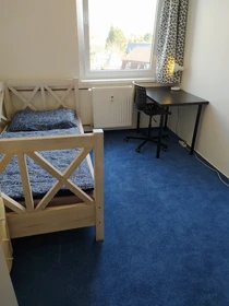 Quarto para alugar num apartamento partilhado em Praha