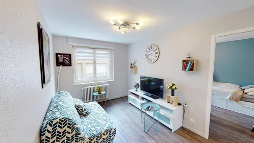 Prywatny pokój 30 Rue De Guebwiller, obraz 14 22