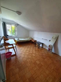 Private room at Cesta na Brdo, , image 1 of 9