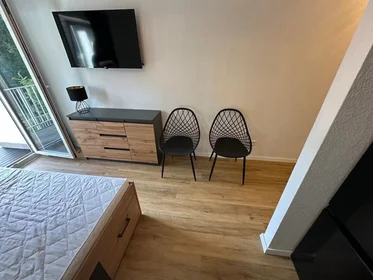 Entire apartment at Eichendorffstraße, Neckarstadt-Ost, image 4 of 9