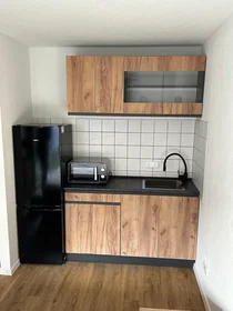 Entire apartment at Eichendorffstraße, Neckarstadt-Ost, image 7 of 9