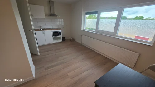 Studio at Nijenrodelaan, image 1 of 6