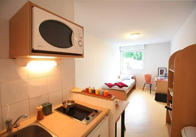 Chambre à louer dans un appartement en colocation à {area}