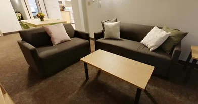 Privatzimmer in der Main Street West, bild 1 von 17
