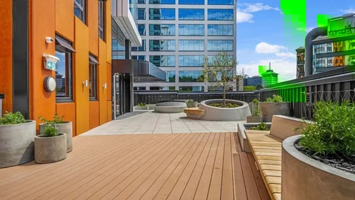 Estudio en Lorne Street, imagen 30 de 49