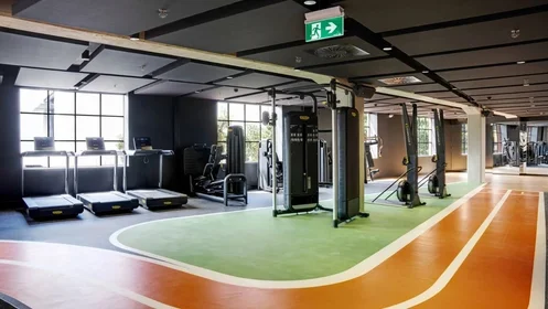 Estudio en Lorne Street, imagen 49 de 49