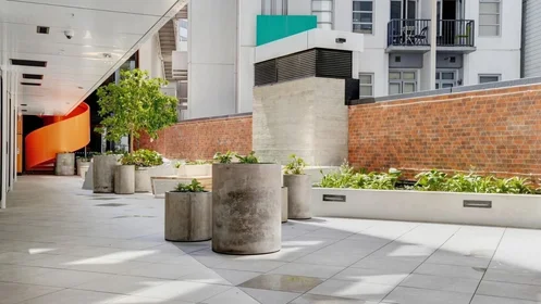 Estudio en Lorne Street, imagen 46 de 49