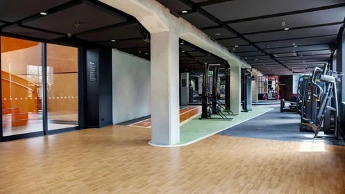 Estudio en Lorne Street, imagen 48 de 49
