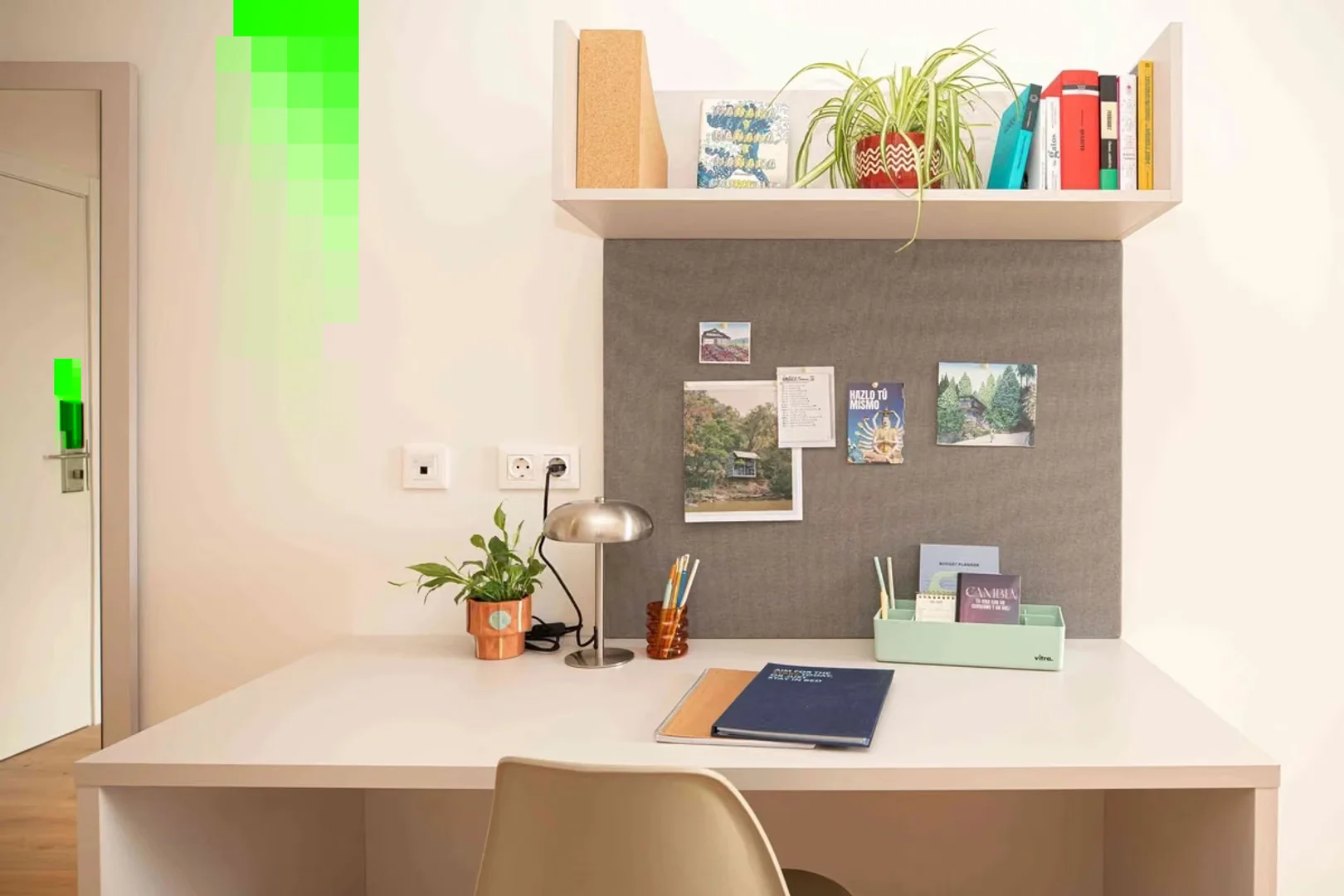 Camera accogliente per studenti disponibile a 