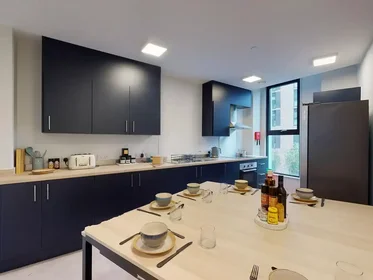 Prywatny pokój Alexandra Road, obraz 28 41