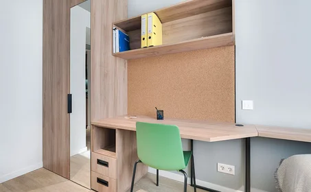 Estudio en Calle Cipriano Díaz el Herrero, imagen 3 de 15