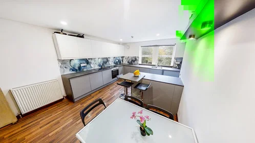 Stanza privata in Broomhall Road, immagine 4 di 28