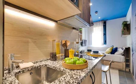 Studio at Avenida del Talgo, image 3 of 18