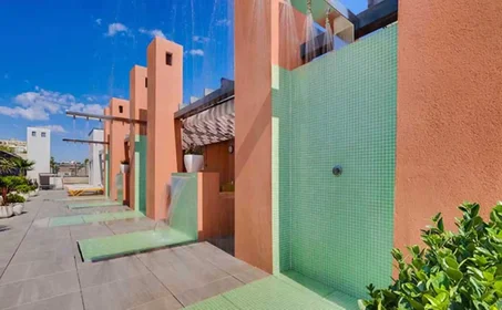 Studio at Avenida del Talgo, image 7 of 18