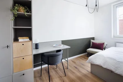 Studio in der Bremer Platz, bild 3 von 24