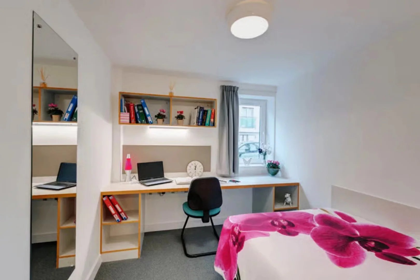 Cozy room for students available in