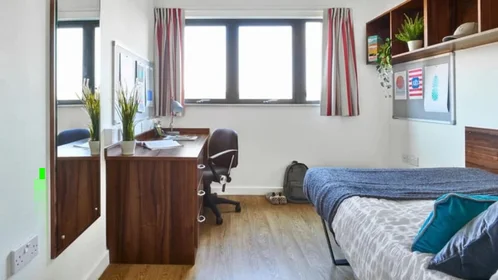 Habitación privada en Western Way, imagen 1 de 10